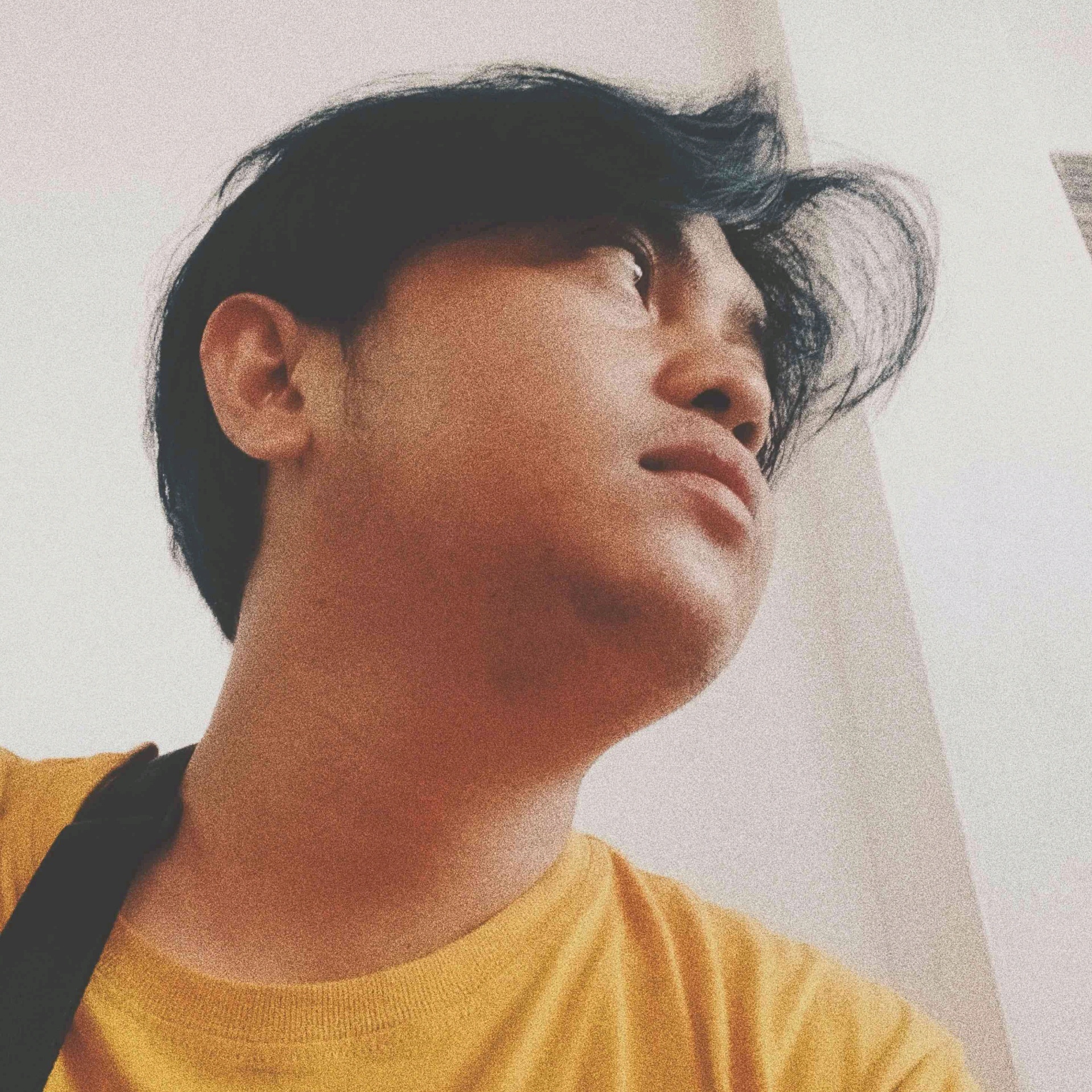 Ceoid (ceoid.lens) Lens social identity (.lens handle) PFP