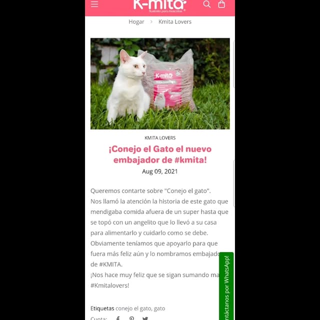 Derivative Maven (rockchip.lens) Lens social identity (.lens handle) PFP