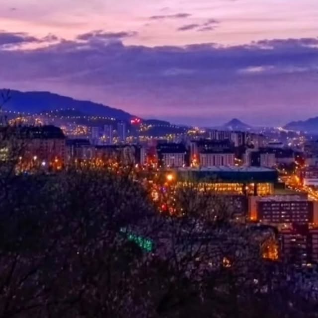 Sylvia Greenfield (myfox8.lens) Lens social identity (.lens handle) PFP