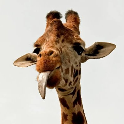 youguan (86960.lens) Lens social identity (.lens handle) PFP