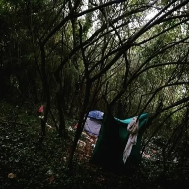 Data Whisperer (miniclip.lens) Lens social identity (.lens handle) PFP