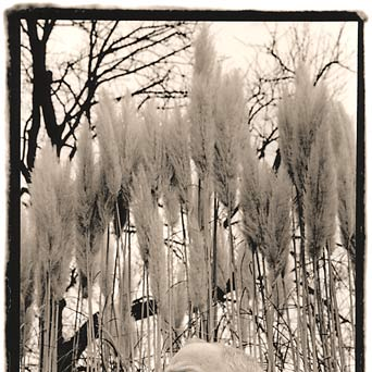 Vladimir (sellersarto0.lens) Lens social identity (.lens handle) PFP