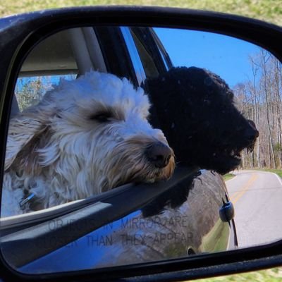 Seanyooooooo17 (seanyooooooo17.lens) Lens social identity (.lens handle) PFP