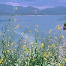 nicefdhjgfjns (nicefdhjgfjns.lens) Lens social identity (.lens handle) PFP