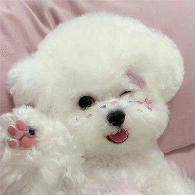 Dana Tom (iiiiiu.lens) Lens social identity (.lens handle) PFP