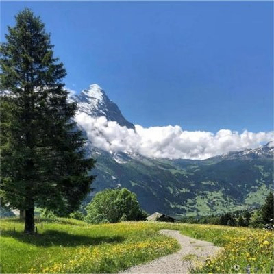 brocky (brocky.lens) Lens social identity (.lens handle) PFP