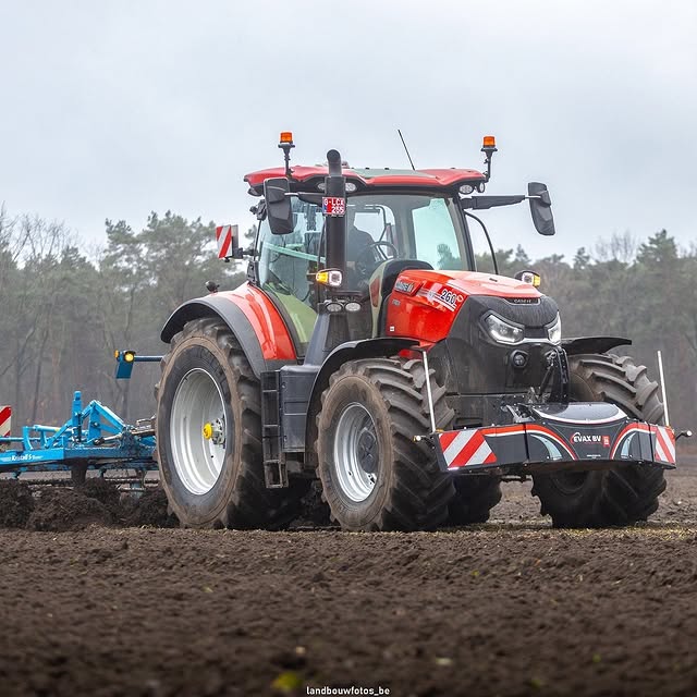 Arithmetic Artisan (arabseed.lens) Lens social identity (.lens handle) PFP