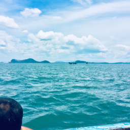 क्राउड स्ट्राइक (crowdstrike.lens) Lens social identity (.lens handle) PFP