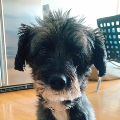 yeunsiwoo (87823.lens) Lens social identity (.lens handle) PFP