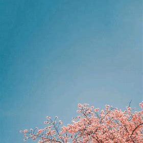 crzyamit (crzyamit.lens) Lens social identity (.lens handle) PFP