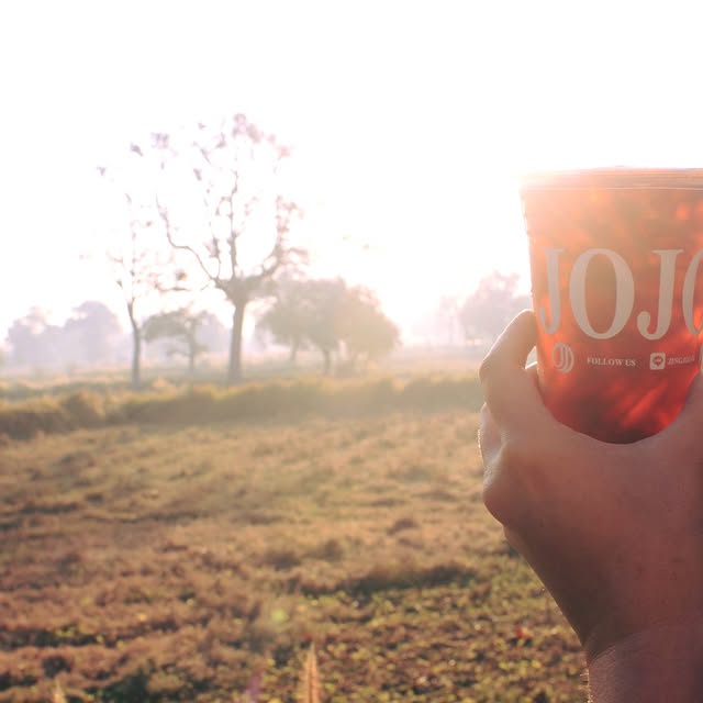 Avery Justice (ekomi.lens) Lens social identity (.lens handle) PFP