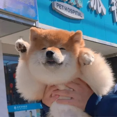 lilaoshi (lilaoshi.lens) Lens social identity (.lens handle) PFP