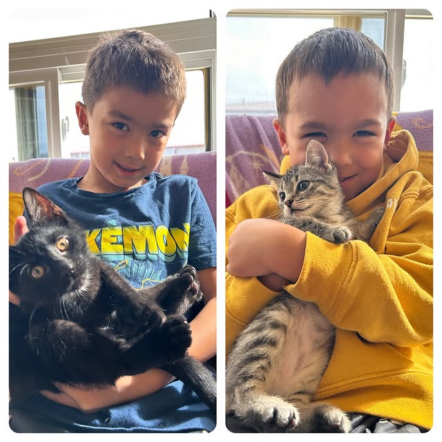 Playful Escapades (accmgr.lens) Lens social identity (.lens handle) PFP