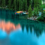 tarih (tarih.lens) Lens social identity (.lens handle) PFP