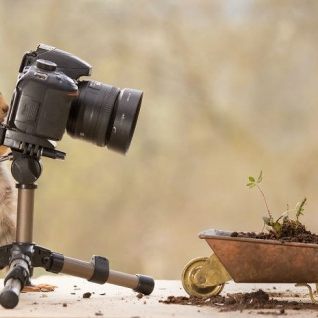 John Benson (mnisadql.lens) Lens social identity (.lens handle) PFP