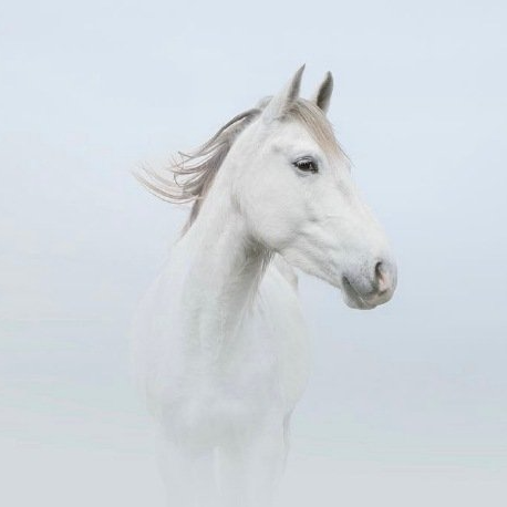 star (starer.lens) Lens social identity (.lens handle) PFP