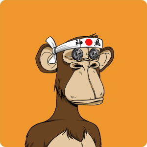 Mohammad Patel (msdpatel.lens) Lens social identity (.lens handle) PFP