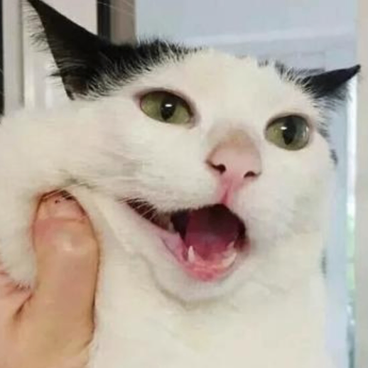 Violet (bwbwuw.lens) Lens social identity (.lens handle) PFP