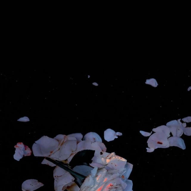 fgh (zylonic.lens) Lens social identity (.lens handle) PFP