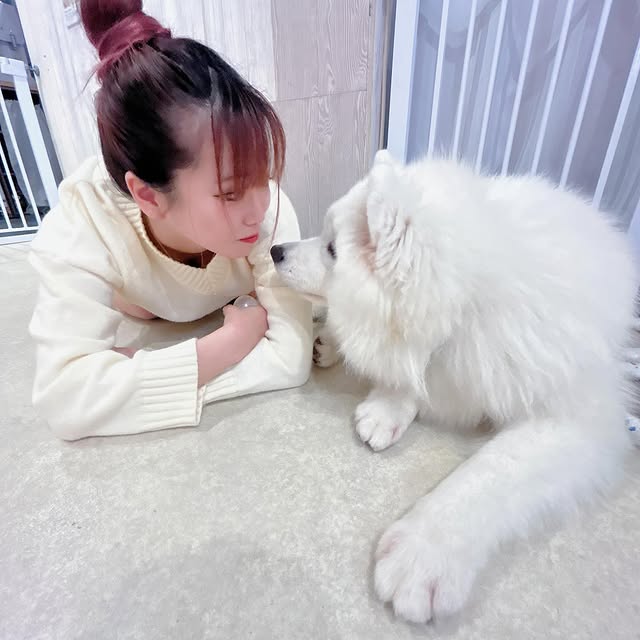 Avery Quinn (gtags.lens) Lens social identity (.lens handle) PFP