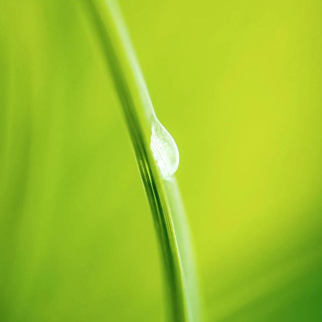 第三个 (etherix.lens) Lens social identity (.lens handle) PFP