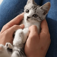 dsgdfhgdf (0u983.lens) Lens social identity (.lens handle) PFP