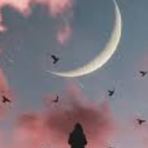 hkkjhk (bbbbk.lens) Lens social identity (.lens handle) PFP