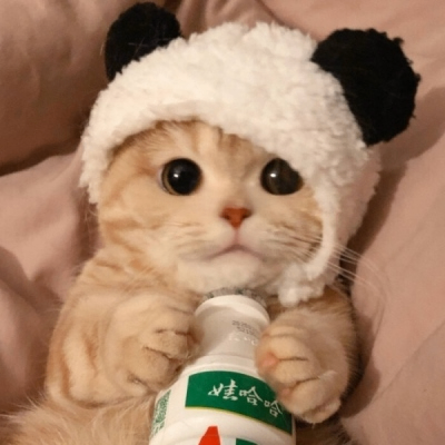 Julius Sheridan (vvvyy.lens) Lens social identity (.lens handle) PFP