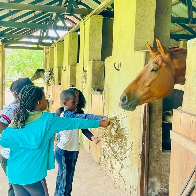 Skyward Innovator (burstnet.lens) Lens social identity (.lens handle) PFP