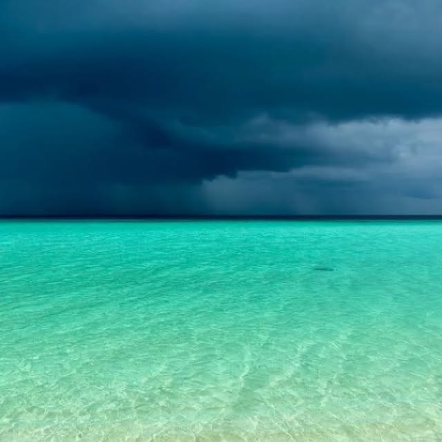 Avery Sanderson (geogslb.lens) Lens social identity (.lens handle) PFP