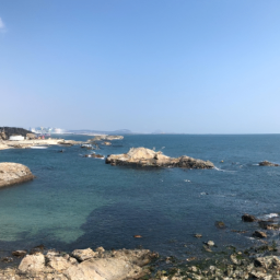 퍼피우fluffy (puffy.lens) Lens social identity (.lens handle) PFP