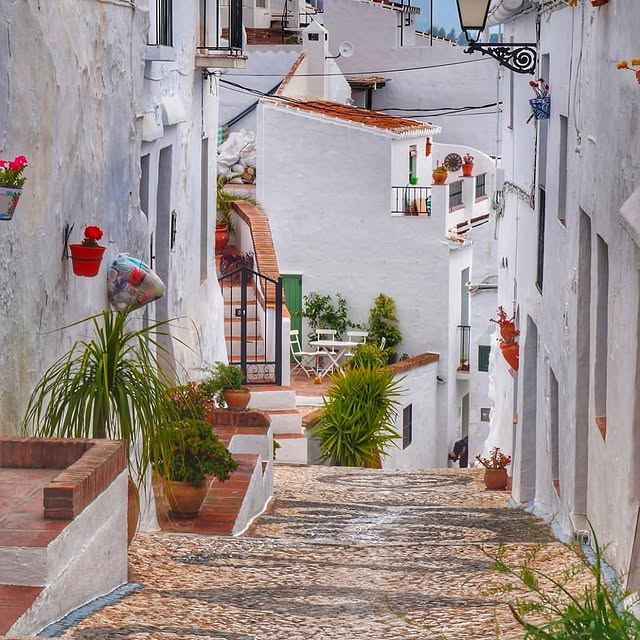 Eco Whisperer 🌍 (bravotube.lens) Lens social identity (.lens handle) PFP