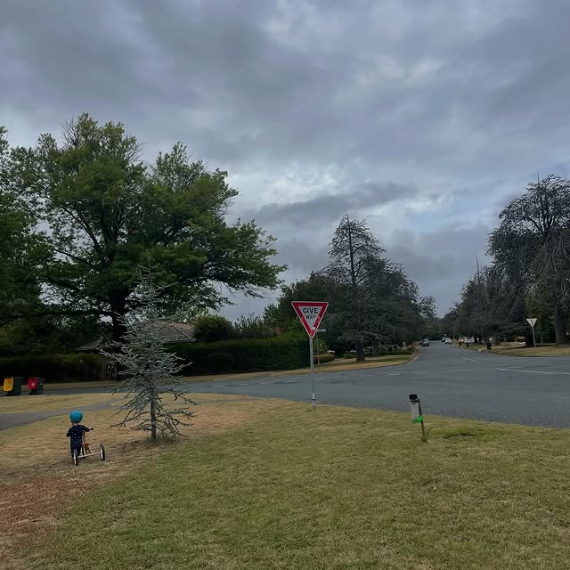 PixelVision Insights (cnappbox.lens) Lens social identity (.lens handle) PFP