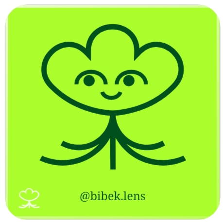 BIBEK (bibek.lens) Lens social identity (.lens handle) PFP