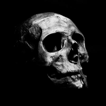 stepan (stepangorod.lens) Lens social identity (.lens handle) PFP