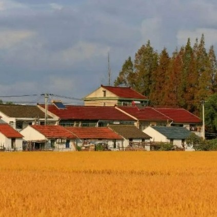 gdf4ed (cggh5.lens) Lens social identity (.lens handle) PFP