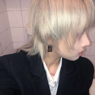 Elaine (vvvpv.lens) Lens social identity (.lens handle) PFP