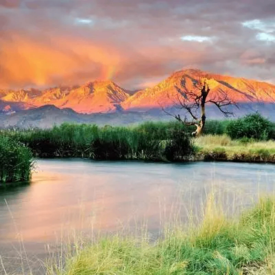 seaiaunchxyz (seaiaunchxyz.lens) Lens social identity (.lens handle) PFP