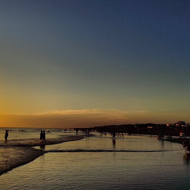 EcoSage Synergy (mlt01.lens) Lens social identity (.lens handle) PFP