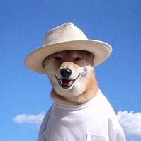 Danielle Tomoko (edrfgbh.lens) Lens social identity (.lens handle) PFP