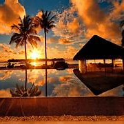 priya (lapa4.lens) Lens social identity (.lens handle) PFP