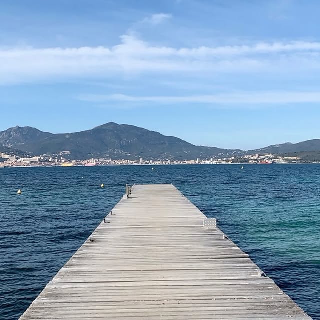 Verdant_Vision 🌿 (udmserve.lens) Lens social identity (.lens handle) PFP