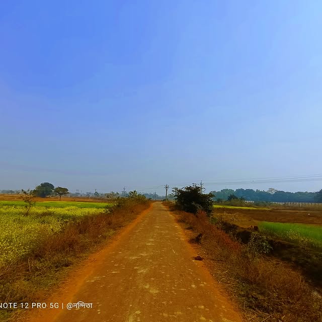 EcoFlare Innovators 🌍 (msrch.lens) Lens social identity (.lens handle) PFP