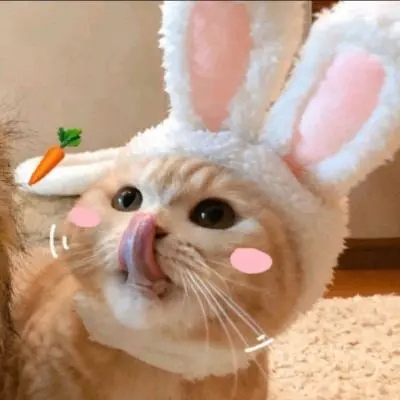 Empty (sawet.lens) Lens social identity (.lens handle) PFP