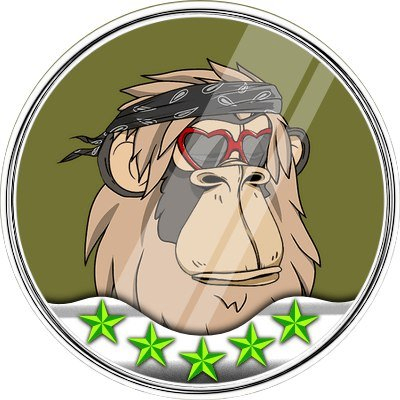 socialsurfers (socialsurfers.lens) Lens social identity (.lens handle) PFP