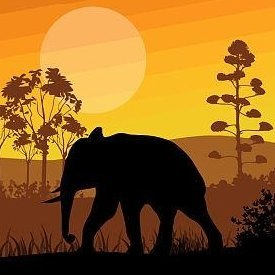 frog (68055.lens) Lens social identity (.lens handle) PFP