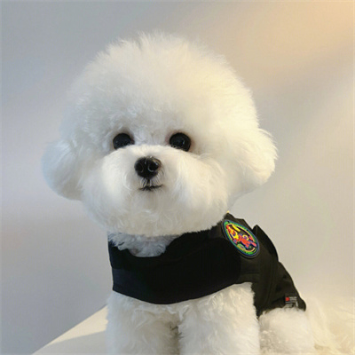 Brady Ellis (iiiiia.lens) Lens social identity (.lens handle) PFP