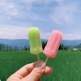 Dorothy Ella (fredericasd.lens) Lens social identity (.lens handle) PFP