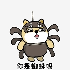 settlement (settlementt.lens) Lens social identity (.lens handle) PFP