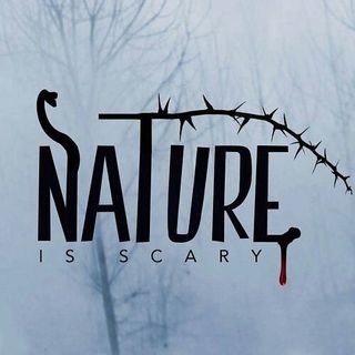 Nature1sScary (nature1sscary.lens) Lens social identity (.lens handle) PFP